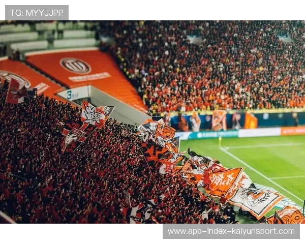 从全国球迷羡慕凤凰山到全国球迷不待见，这中间经历了什么？，凤凰山专业足球场效果图